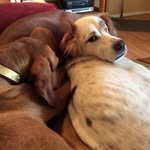 Frank F. Graser - @frankgraser - Instagram