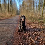 Frank Graß - @franky.fg74 - Instagram
