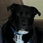 Frank Grasso - @frankgrassousa - Instagram
