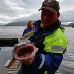 Frank Grimm - @stihl_026 - Instagram