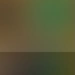 Frank Grove - @grove600 - Instagram