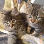 Frank Grove - @grove656 - Instagram