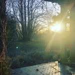frankie - @frankie_runs_hackneyhalf - Instagram