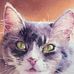 Frank Haddock - Facebook