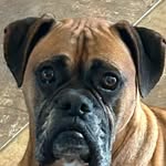 Frank Halm - @halm276 - Instagram