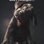 Frank Hambrick - @hambrickfrank - Instagram