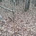 Frank Hamlin - Facebook