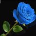 Frank Hamad - Facebook