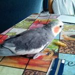 frankhanlon - @frankhanlon837 - Instagram
