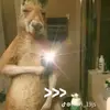 Frank harden - @qlq2477 - TikTok