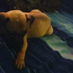 Jessie frank Harden Third - @nbayoungboy6496 - Instagram