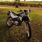 Frank Harder - @frankharder2007 - Instagram