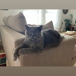 Frank Harder - @zoeydiefernsehmieze - Instagram