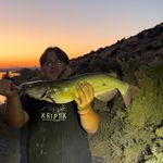 Frank Harper - @_frankharper - Instagram
