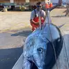 Frankie__Harper - @frank__harper - TikTok