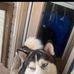Frank Harrelson - Facebook