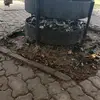 Frank Haser - @frank.haser4 - TikTok