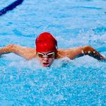 Frank - @frankhassellswimming - Instagram