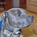 Frank Hassell - Facebook