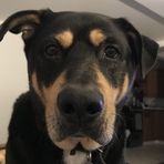 Frank Hatch - Facebook
