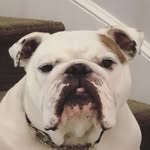 Franklin Hatchett - @franklin.hatchett - Instagram