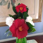 Frank DeHaven - @dehavenfrank - Instagram