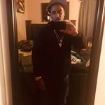 horsefly - @frankhazel22 - Instagram