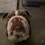 Frank - @frankhealey1 - Instagram