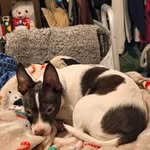 Frank hearn - @frankhearn2 - Instagram
