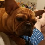 Frank Hearn - @frank.hearn.549 - Instagram