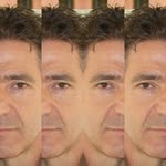 Franco Frank Ricci - @frankhedgehogs - Instagram