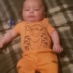 Frank Hedgecock - @hedgecockfrank - Instagram