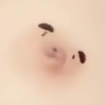 Frank Hee - @frank.hee.37 - Instagram