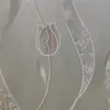 Frankhee - @frankhee8 - TikTok