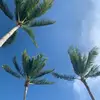 Frank Heights - @frank.heights7 - TikTok