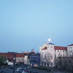 Frank Heine - @frank.heine.752 - Instagram