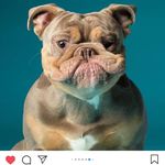 Frank Heller - @frankheller665 - Instagram