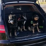 Frank Hellwig - @frank.hellwig.98 - Instagram