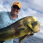 Frank Hellwig - @fmrahellwig - Instagram