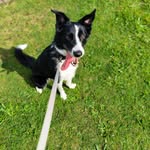 Frank Hemmings - @frank.hemmings.5 - Instagram
