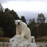 Frank Hendry - @tighhendry - Instagram