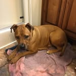 Frank Hensley - @frankhensley39 - Instagram