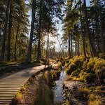 Frank Hensley - @frankhensleyowg64180 - Instagram