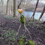Frank Herold - @frank71hero - Instagram