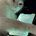 Frank Herold - Facebook