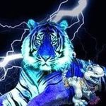 Frank Herold - @frankherold4242 - Instagram