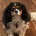 Frank Hetzel - Facebook