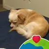 Frank Heizer - @frank.heizer - TikTok