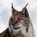 Frank Hetzer - @hankfretzer - Instagram