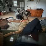Frank Hiatt - Facebook